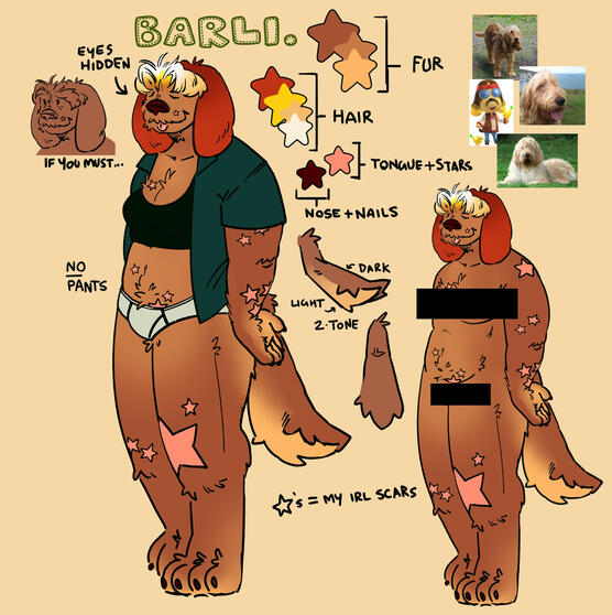 character reference sheet for a fursona named barli. the sheet has two versions of barli. one wearing clothes and one in the nude. there are reference images for inspiration and a colour palette